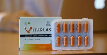 vitaplas - herbal untuk meningkatkan stamina pria badrulmozilacom